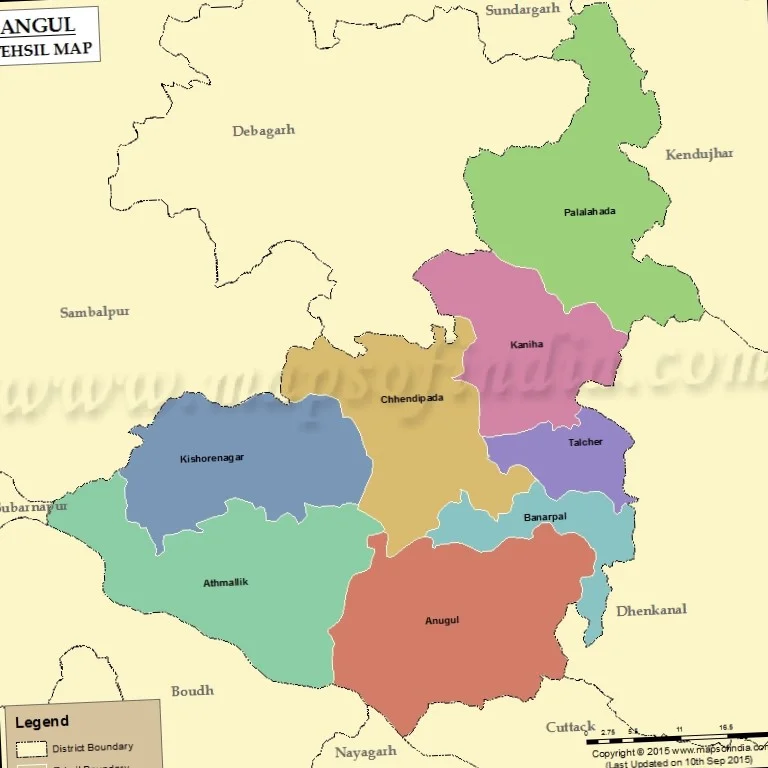 Angul pest control